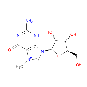 Guanosine, 7-methyl-