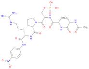 L-Argininamide, N-acetyl-L-alanyl-L-alanyl-O-phosphono-L-seryl-L-prolyl-N-(4-nitrophenyl)- (9CI)