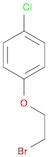 Benzene, 1-(2-bromoethoxy)-4-chloro-