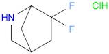 2-Azabicyclo[2.2.1]heptane, 6,6-difluoro-, hydrochloride (1:1)