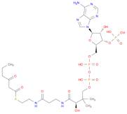 Coenzyme A, S-(3-oxohexanoate)