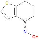 Benzo[b]thiophen-4(5H)-one, 6,7-dihydro-, oxime