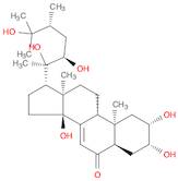 Ergost-7-en-6-one, 2,3,14,20,22,25-hexahydroxy-, (2β,3β,5β,22R,24R)-