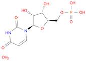 5'-Uridylic acid, monohydrate (9CI)