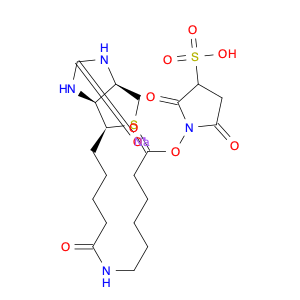 Hexanoic acid, 6-[[5-[(3aS,4S,6aR)-hexahydro-2-oxo-1H-thieno[3,4-d]imidazol-4-yl]-1-oxopentyl]amin…