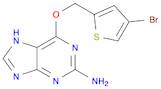 9H-Purin-2-amine, 6-[(4-bromo-2-thienyl)methoxy]-