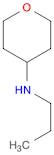 2H-Pyran-4-amine, tetrahydro-N-propyl-