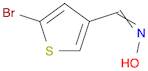 3-Thiophenecarboxaldehyde, 5-bromo-, oxime