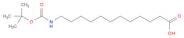 Dodecanoic acid, 12-[[(1,1-dimethylethoxy)carbonyl]amino]-