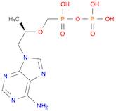 Isohypophosphoric acid, P'-[[(1R)-2-(6-amino-9H-purin-9-yl)-1-methylethoxy]methyl]-