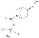 2-Azabicyclo[2.2.1]heptane-2-carboxylic acid, 5-(hydroxyimino)-, 1,1-dimethylethyl ester