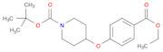 1-Piperidinecarboxylic acid, 4-[4-(ethoxycarbonyl)phenoxy]-, 1,1-dimethylethyl ester