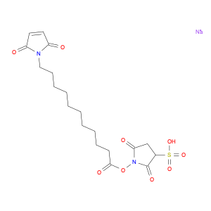 1H-Pyrrole-1-undecanoic acid, 2,5-dihydro-2,5-dioxo-, 2,5-dioxo-3-sulfo-1-pyrrolidinyl ester, so...