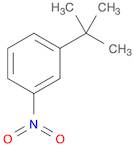 Benzene, 1-(1,1-dimethylethyl)-3-nitro-