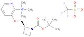 2-Pyridinaminium, 3-[[(2S)-1-[(1,1-dimethylethoxy)carbonyl]-2-azetidinyl]methoxy]-N,N,N-trimethyl-…