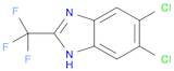 1H-Benzimidazole, 5,6-dichloro-2-(trifluoromethyl)-