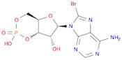 Adenosine, 8-bromo-, cyclic 3',5'-(hydrogen phosphate)