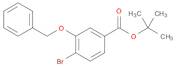 Benzoic acid, 4-bromo-3-(phenylmethoxy)-, 1,1-dimethylethyl ester