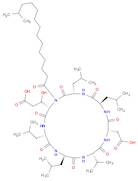 Cyclo(L-α-aspartyl-D-leucyl-L-leucyl-3-hydroxy-13-methyltetradecanoyl-L-α-glutamyl-L-leucyl-D-leuc…