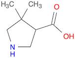 3-Pyrrolidinecarboxylic acid, 4,4-dimethyl-