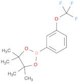 1,3,2-Dioxaborolane, 4,4,5,5-tetramethyl-2-[3-(trifluoromethoxy)phenyl]-