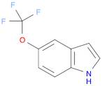 1H-INDOLE, 5-(TRIFLUOROMETHOXY)-