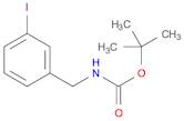 Carbamic acid, N-[(3-iodophenyl)methyl]-, 1,1-dimethylethyl ester