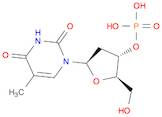 3'-Thymidylic acid