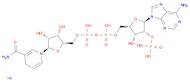 Adenosine 5'-(trihydrogen diphosphate), 2'-(dihydrogen phosphate), P'→5'-ester with 1,4-dihydro-...