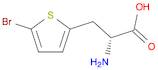 2-Thiophenepropanoic acid, α-amino-5-bromo-, (αR)-