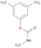 Phenol, 3,5-dimethyl-, 1-(N-methylcarbamate)