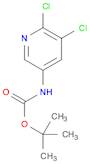 Carbamic acid, N-(5,6-dichloro-3-pyridinyl)-, 1,1-dimethylethyl ester