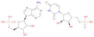 5′-Adenylic acid, polymer with 5′-uridylic acid