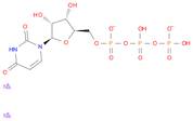 URIDINE-13C9, 15N2-5 TRIPHOSPHATE SODI U