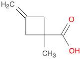 Cyclobutanecarboxylic acid, 1-methyl-3-methylene-