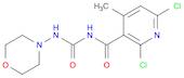 3-Pyridinecarboxamide, 2,6-dichloro-4-methyl-N-[(4-morpholinylamino)carbonyl]-