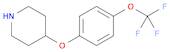 Piperidine, 4-[4-(trifluoromethoxy)phenoxy]-