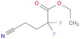 Butanoic acid, 4-cyano-2,2-difluoro-, ethyl ester