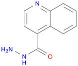 4-Quinolinecarboxylic acid, hydrazide