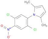 1H-Pyrrole, 1-(2,5-dichloro-4-nitrophenyl)-2,5-dimethyl-