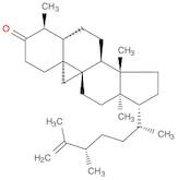 9,19-Cycloergost-25-en-3-one, 4,14-dimethyl-, (4α,5α)-