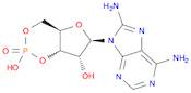 Adenosine, 8-amino-, cyclic 3',5'-(hydrogen phosphate) (9CI)