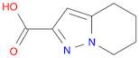 Pyrazolo[1,5-a]pyridine-2-carboxylic acid, 4,5,6,7-tetrahydro-