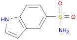 1H-Indole-5-sulfonamide(9CI)