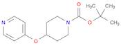 1-Piperidinecarboxylic acid, 4-(4-pyridinyloxy)-, 1,1-dimethylethyl ester