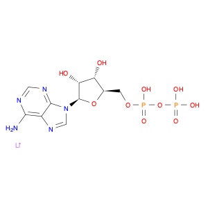 Adenosine 5'-(trihydrogen diphosphate), trilithium salt (9CI)