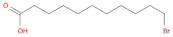 11-Bromoundecanoic acid