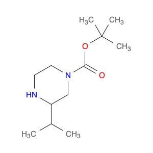 1-Boc-3-Isopropylpiperazine