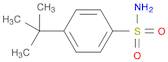 4-(tert-Butyl)benzenesulfonamide