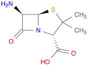 6-Aminopenicillanic acid